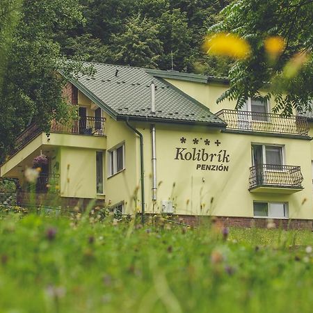 Penzion Kolibrik Bardejovské Kúpele エクステリア 写真